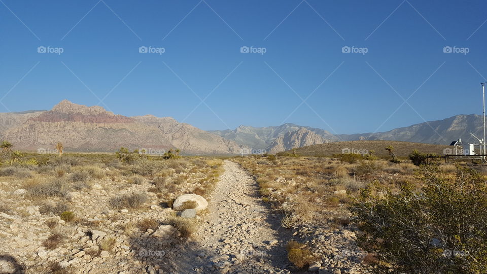 Trail in Red Rock Canyon, Nevada