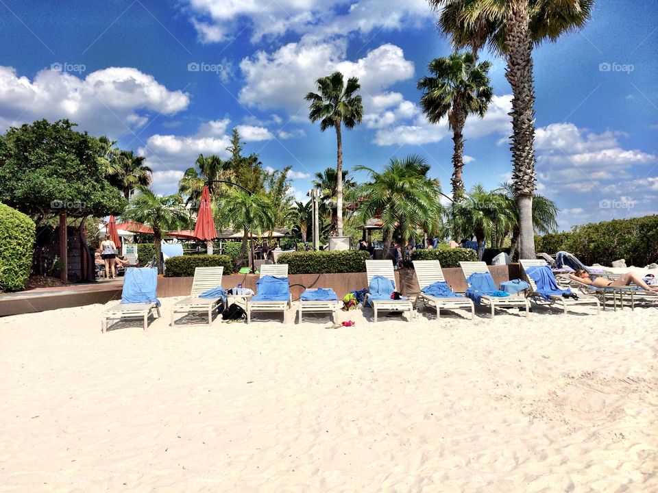 Empty beach chairs