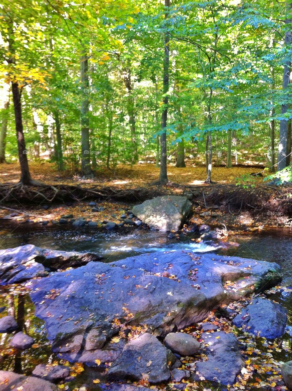 Lake Mohegan, Fairfield CT 