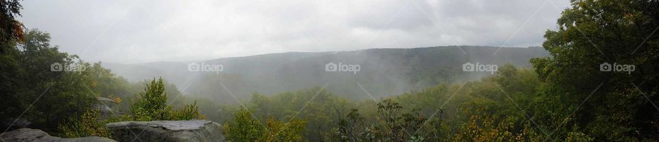 Foggy morning on the mountaintop.