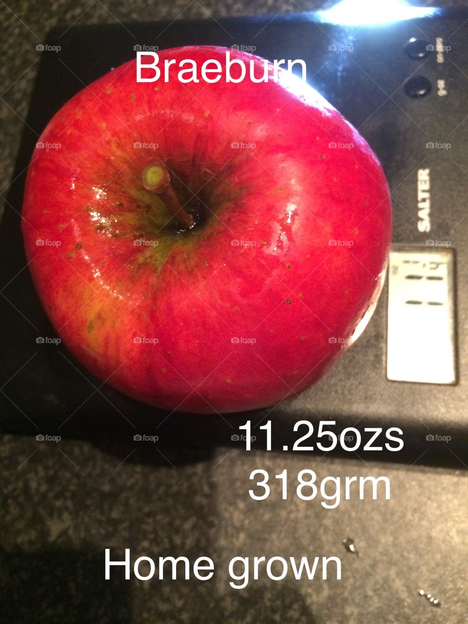 Braeburn Apple 