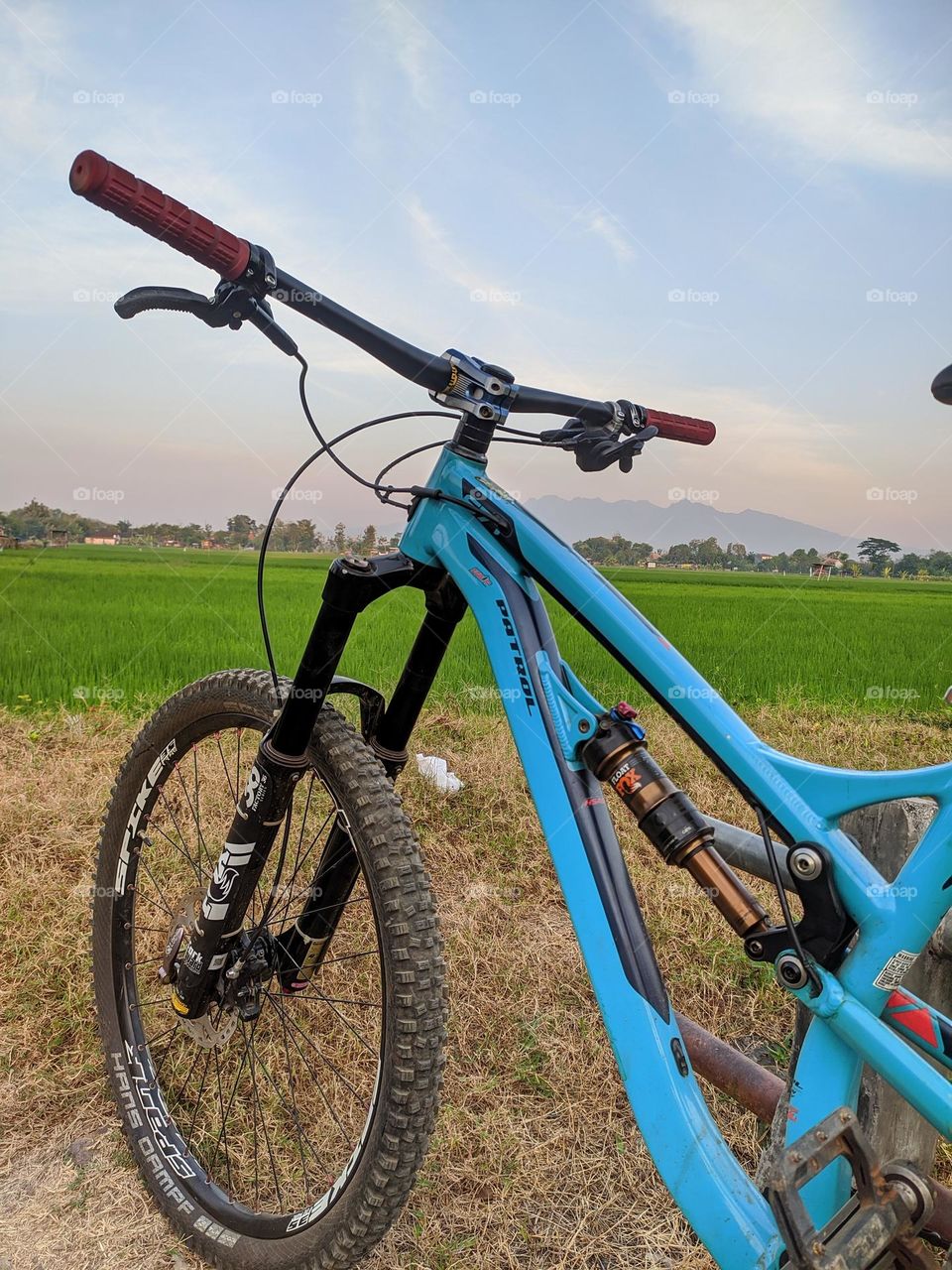 Mountain bike leaning against, nature background