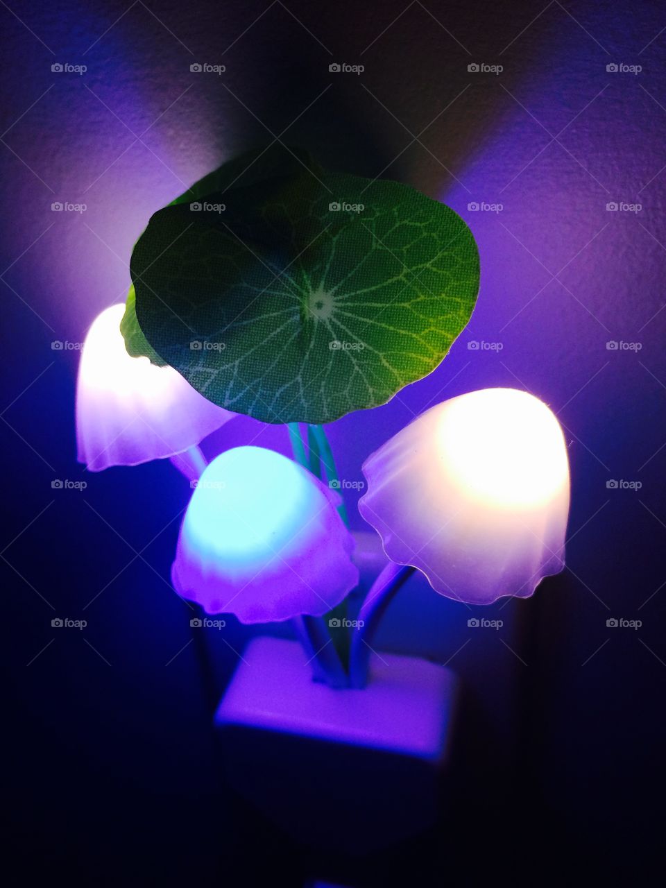 Light the mushroom 