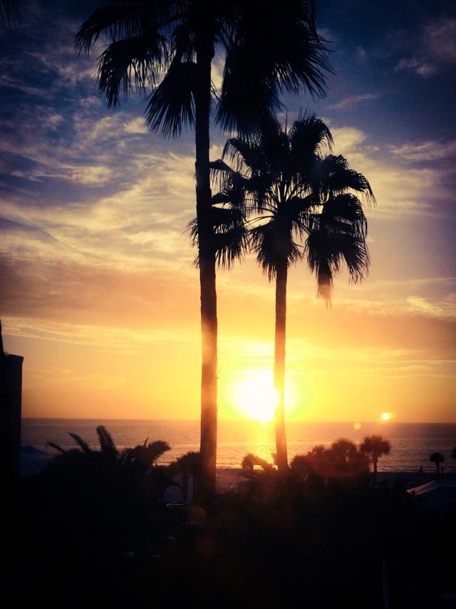 Beach sunset