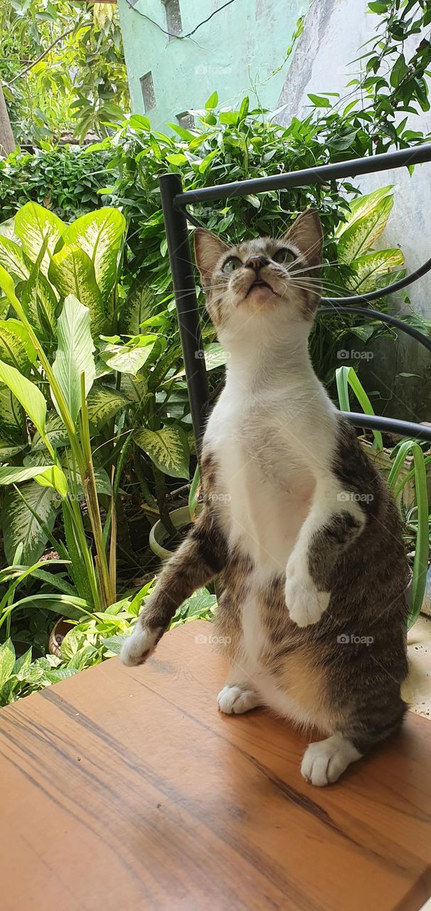 Editors ' Choice : Photo of the week