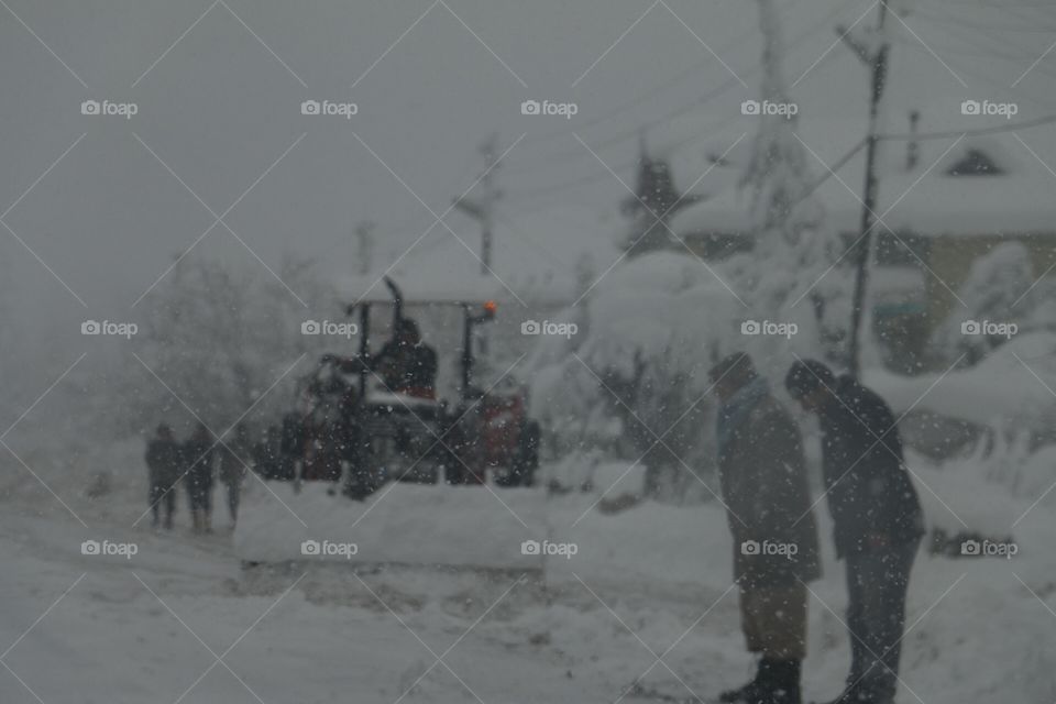 Winter theme. Snowing