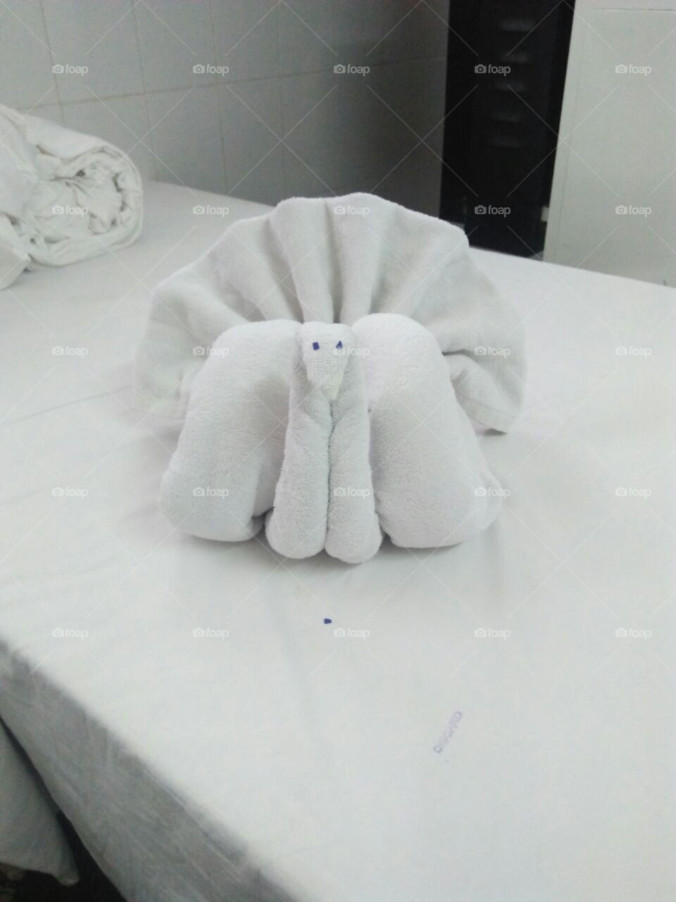 Towel art peacock
