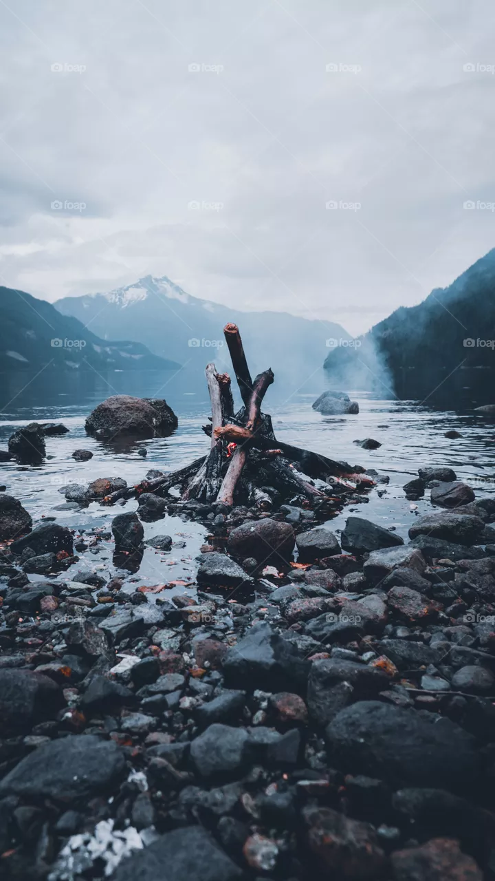 Natureey world