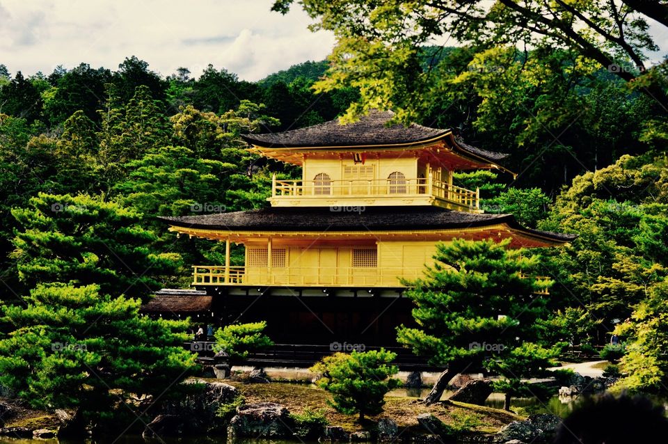 Golden Temple 