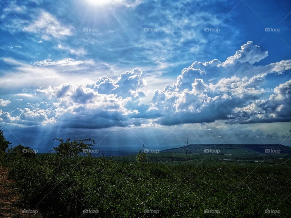 Color day outdoor nature greens wild forest sky mood clouds moody nature