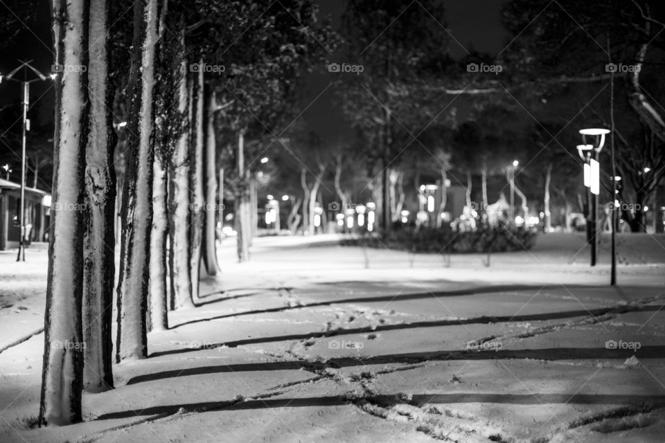 Snow on sequined trees and foot steps