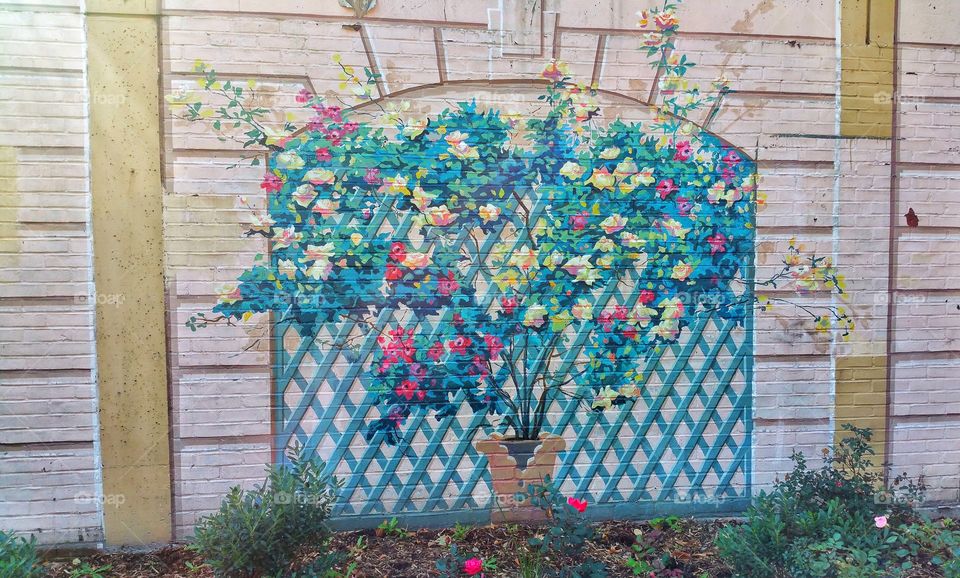 Flowers on a wall