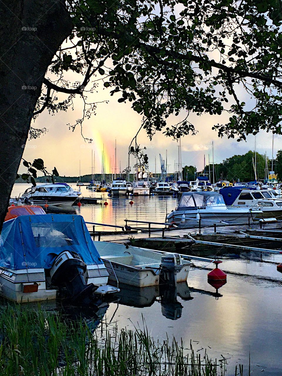 Rainbow at the wharf!