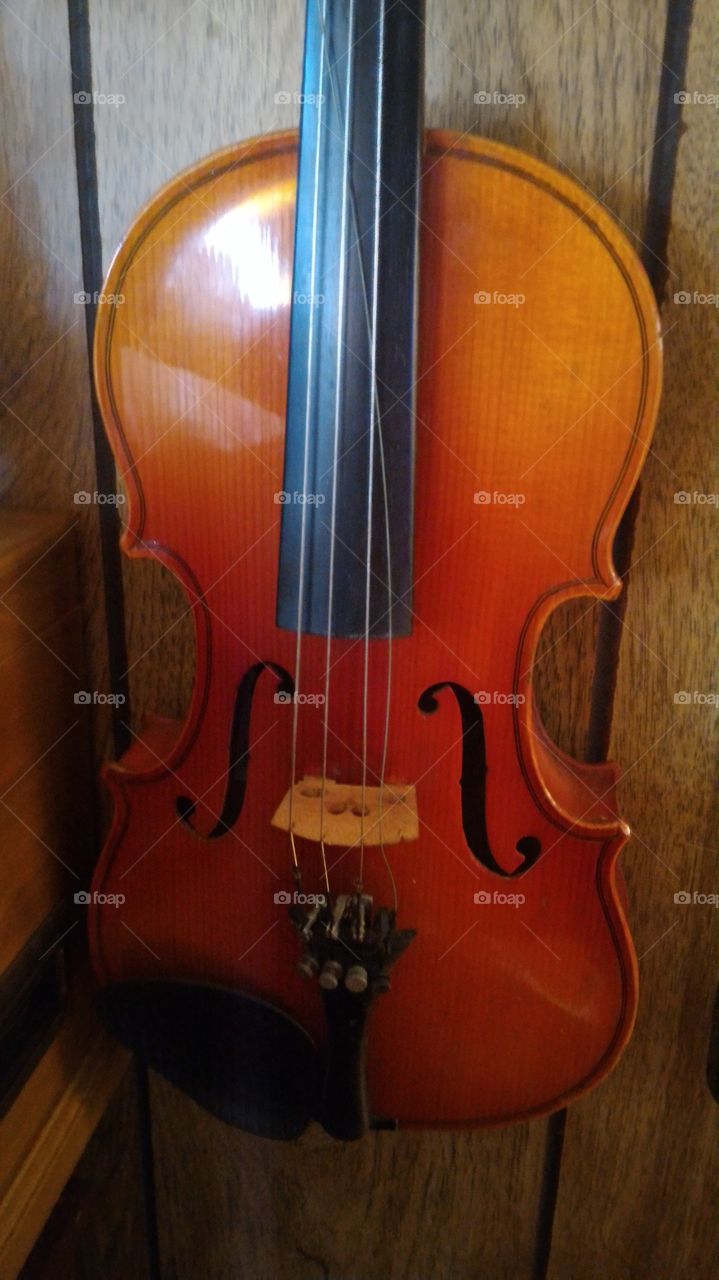Violin, Wood, Classic, Bowed Stringed Instrument, Cello