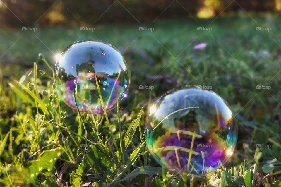 Two bubbles glistening in the sunlight memories of summer