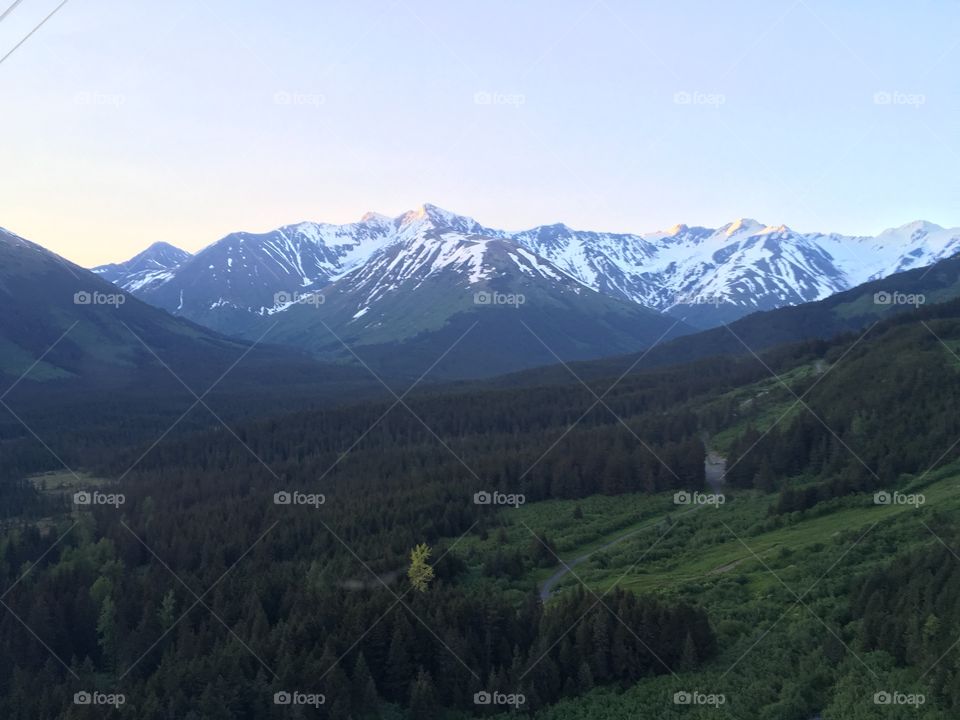 View of forest and mountain