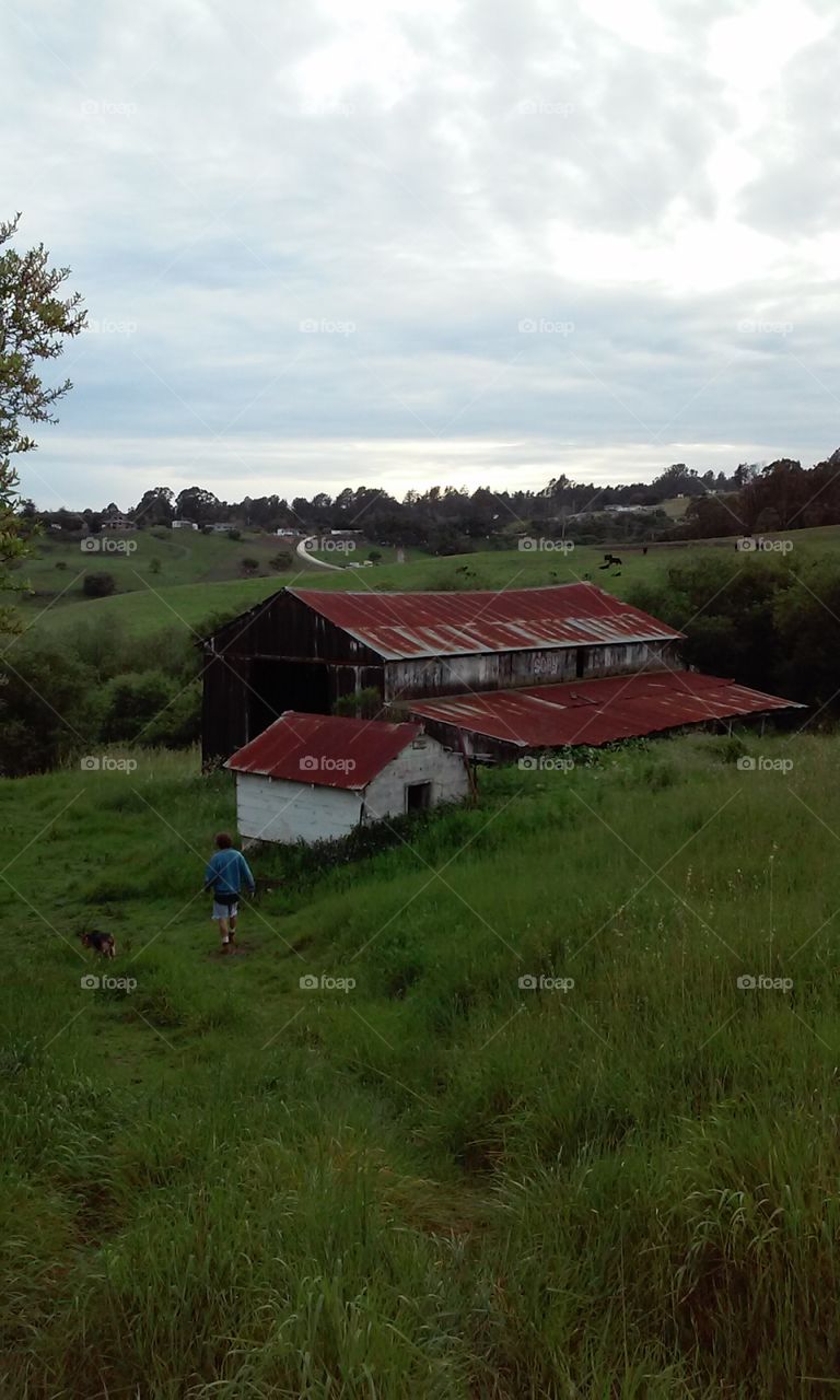 big red barn. an old abandoned barn out it the cow pasture