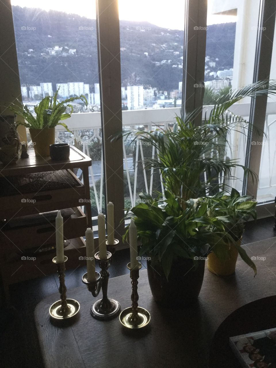 Inside Plants, plus le Vieux !