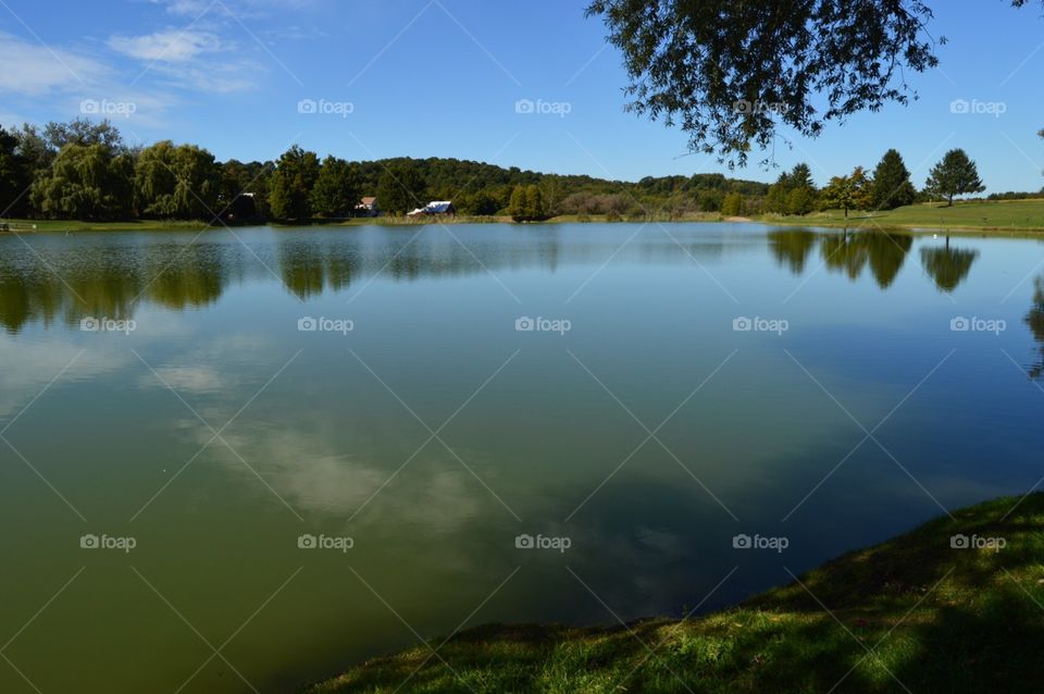 Pond scenery at the park