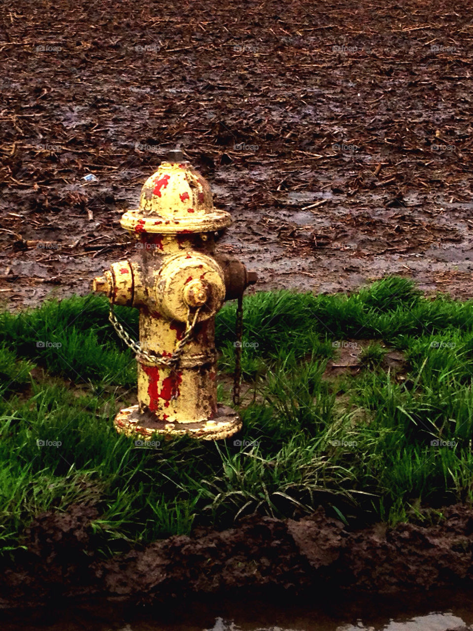 Yellow hydrant