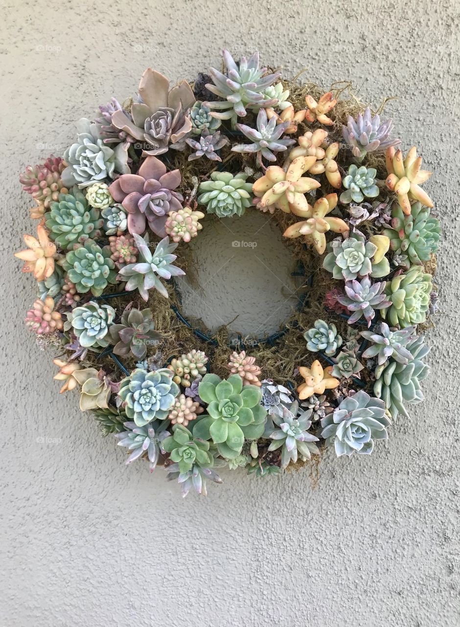 Succulent wreath 