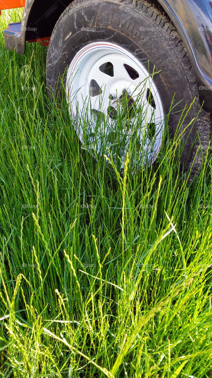 summer. simple. relax