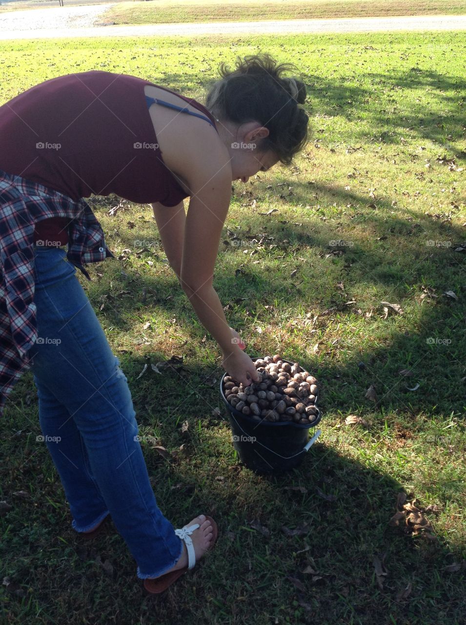 Girl Putting Pecans in Bucket