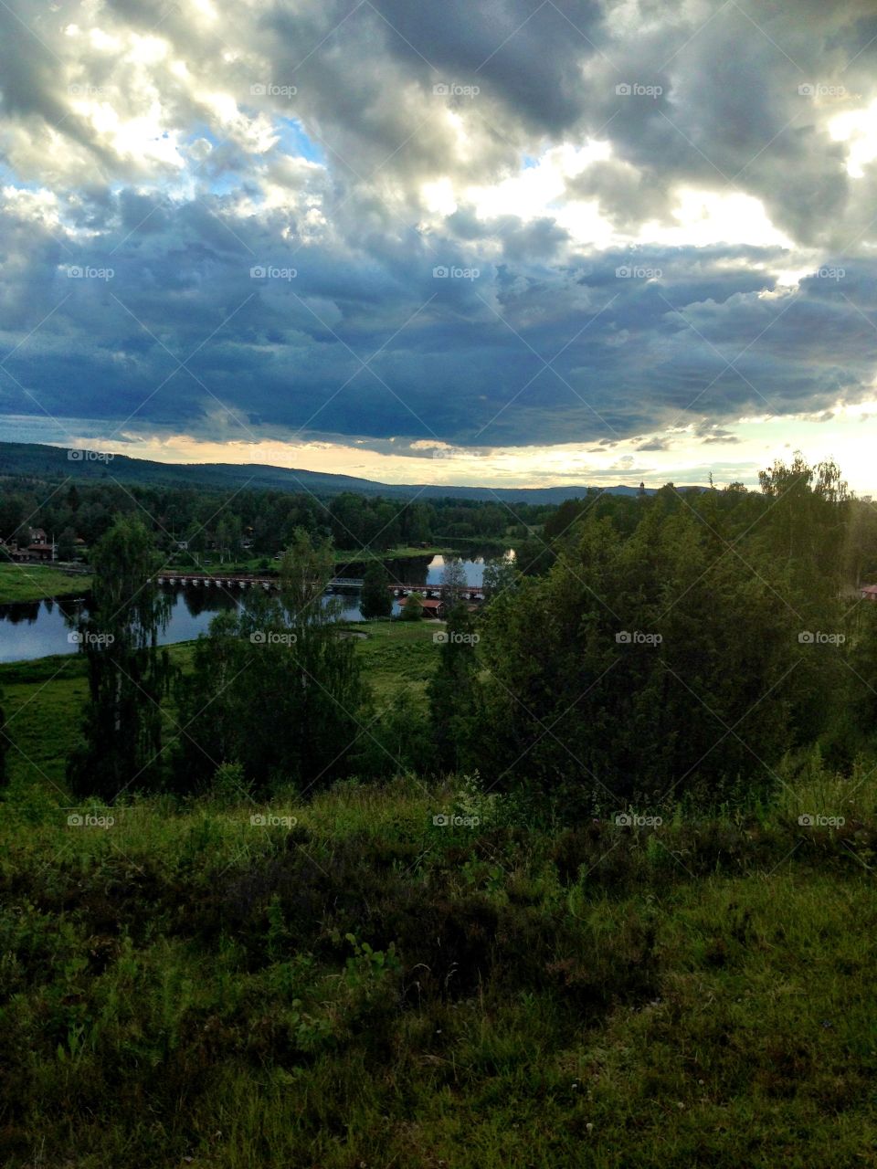 Landscape 