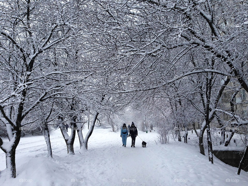 Walking in winter 