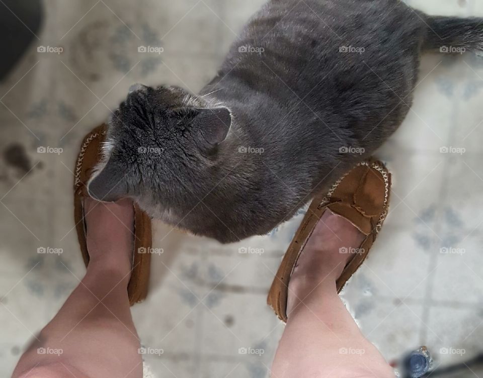 Fuzz @ My Feet