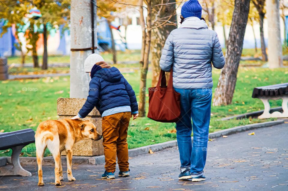 The boy met a stray dog ​​in the park and strokes it