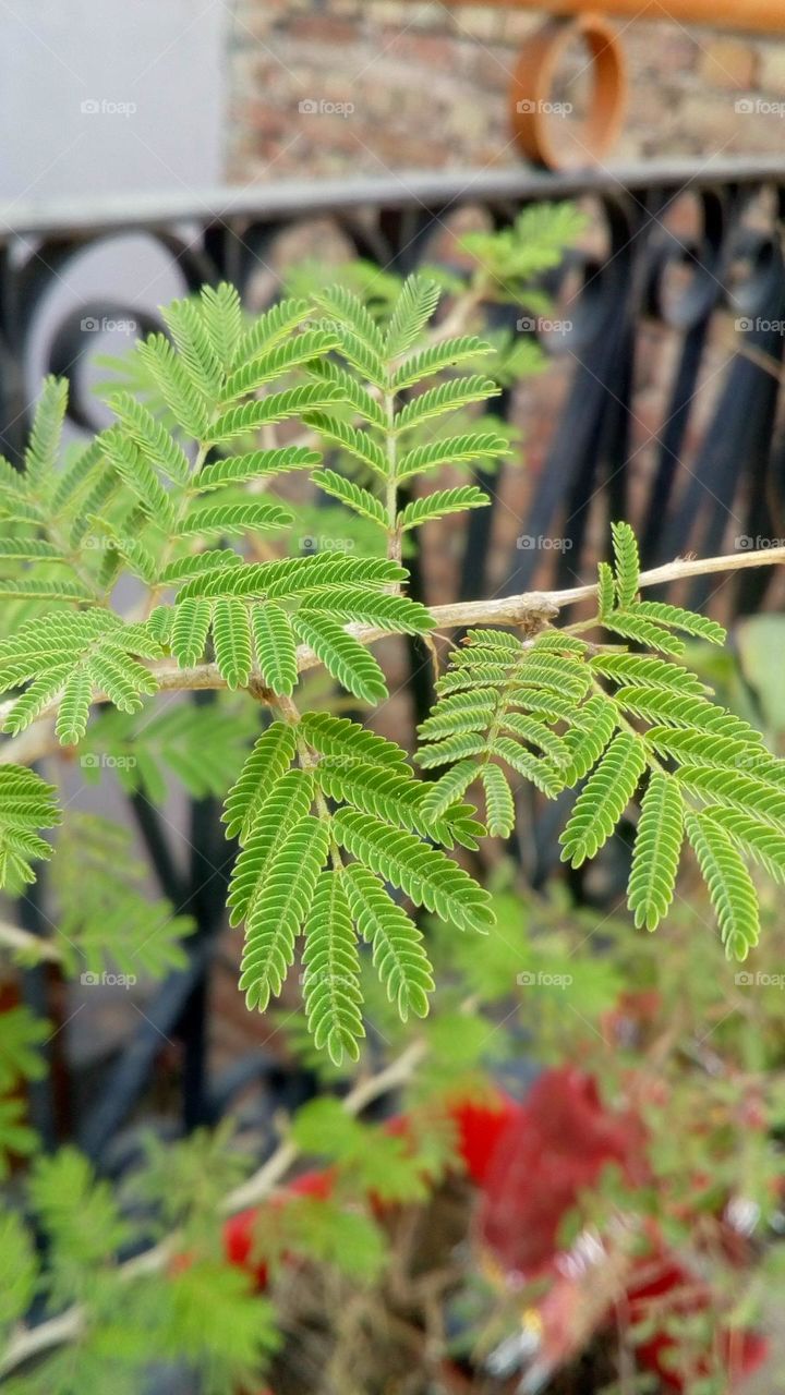 Nature is everything