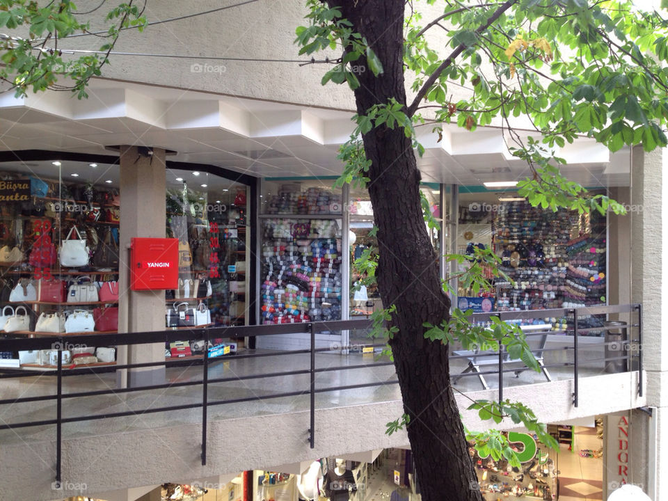tree shopping shop turkey by linhof