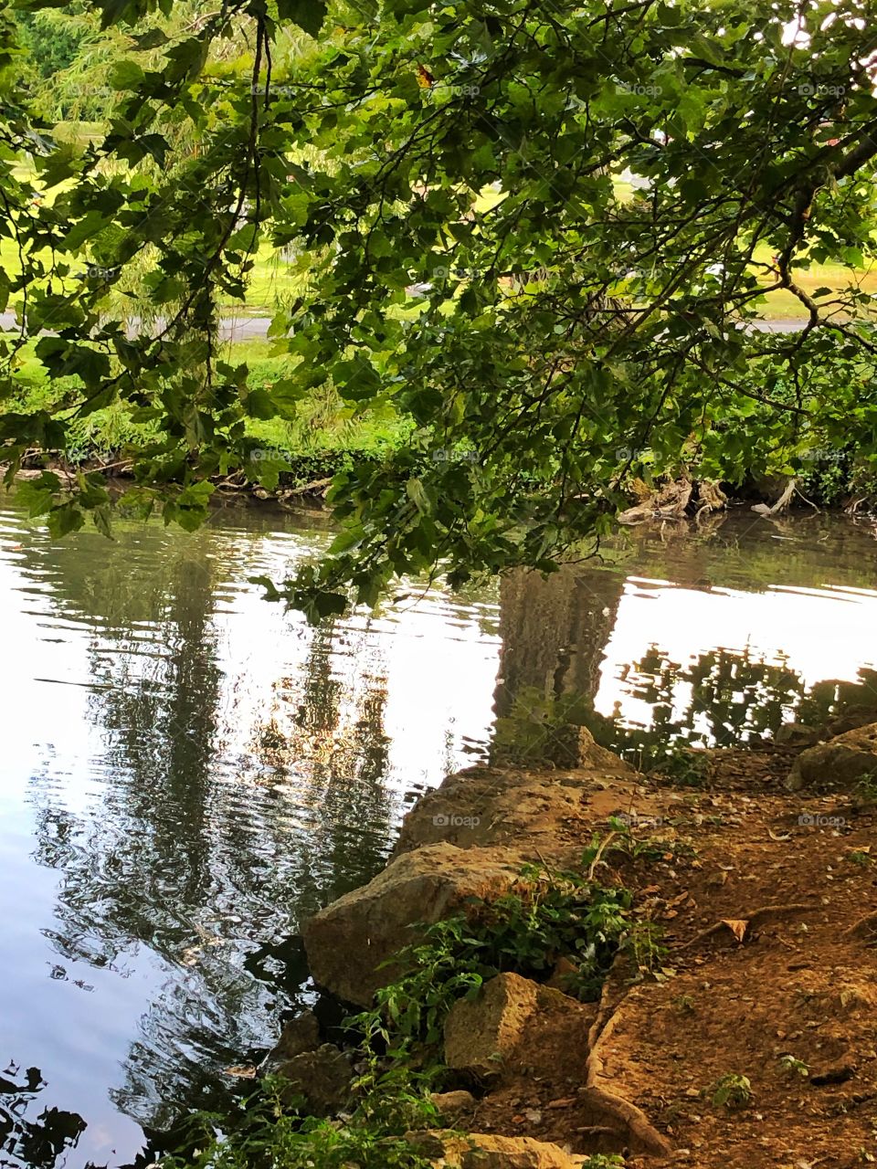 Reflections in the water 