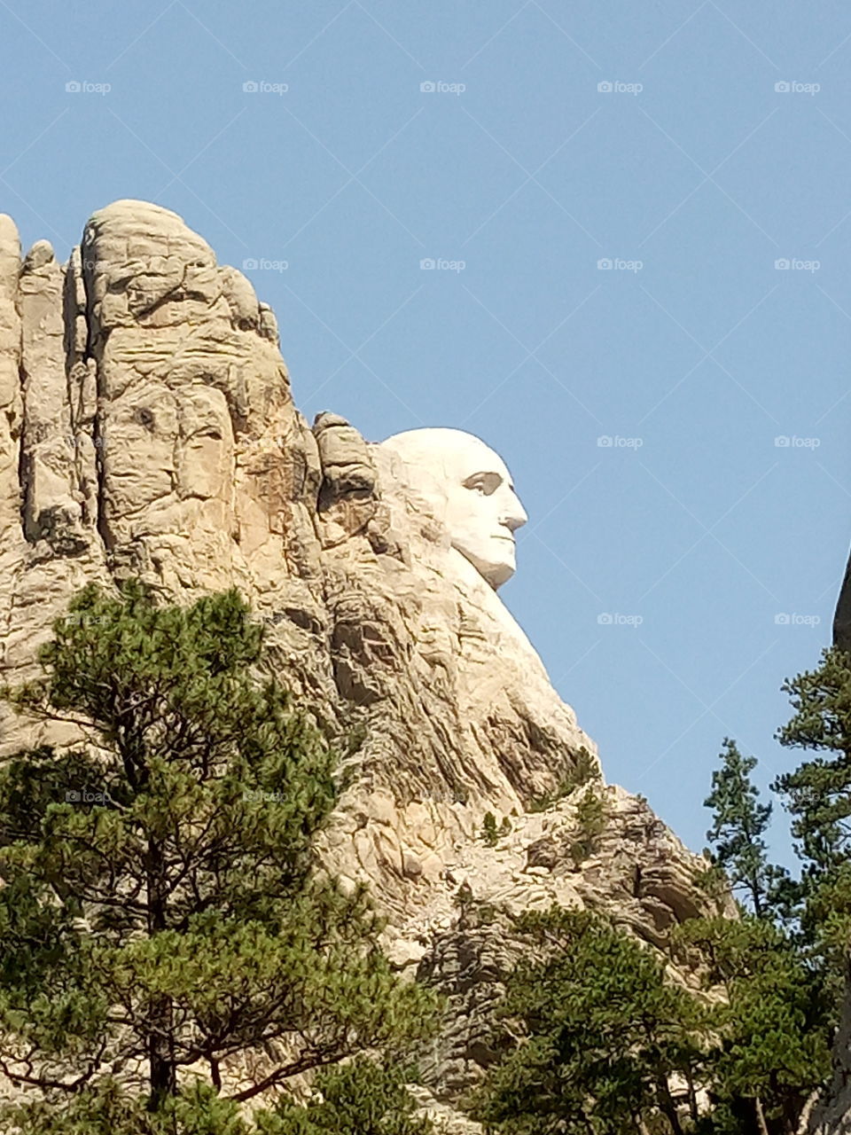 mount Rushmore