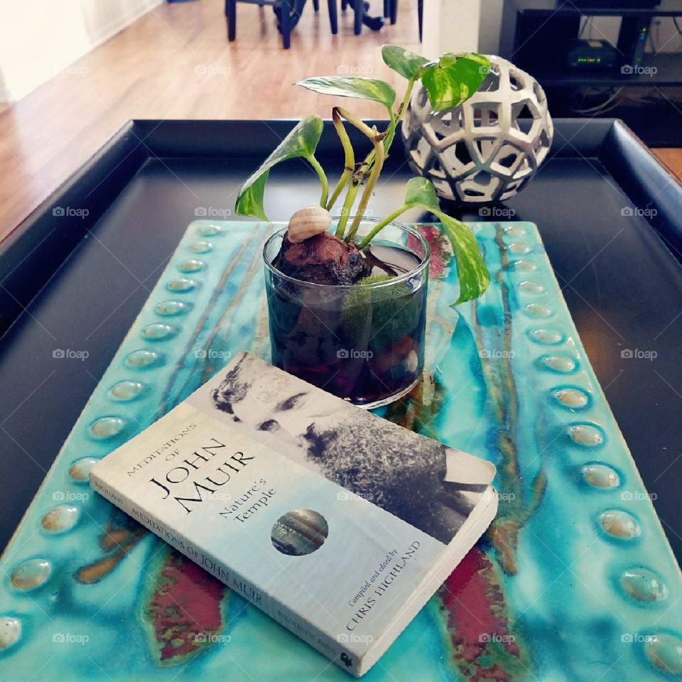 john muir would be proud!