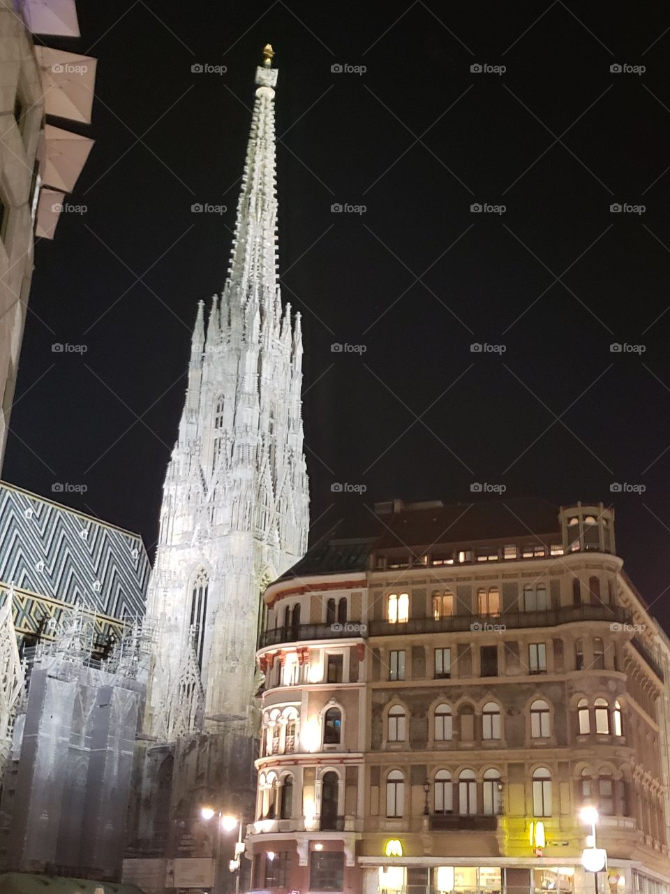 catedral de Viena de noche