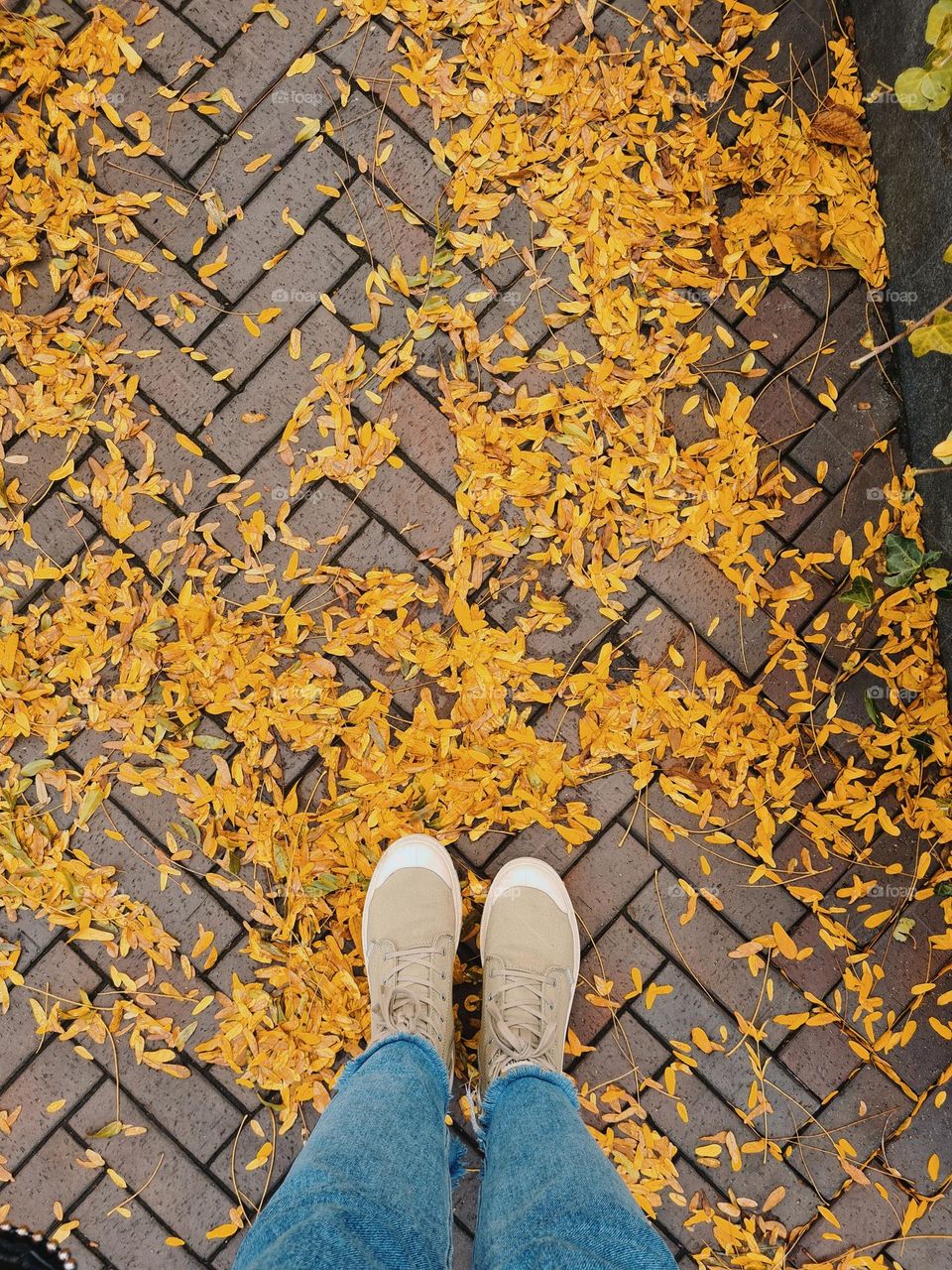 Autumn vibes 🧡🍂
