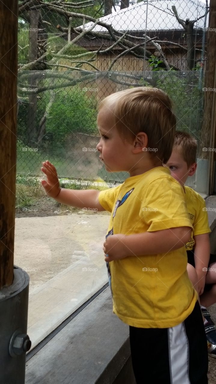 Day at the Zoo