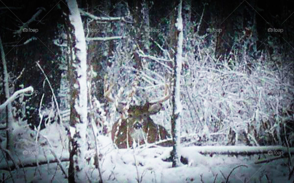 Weathering the Storm