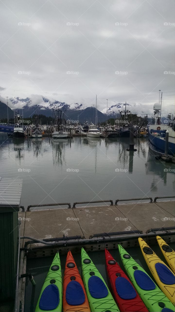 Kayaks in the Port of Valdez