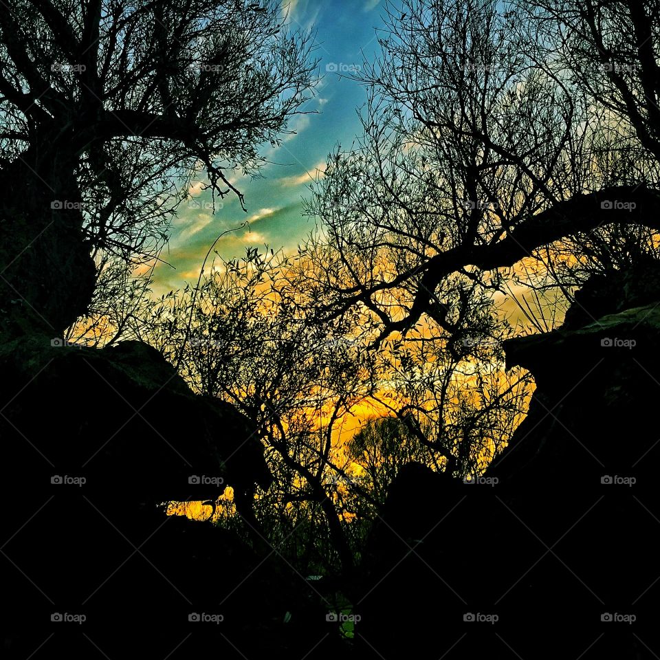 Perfect design which I have no problem serving...