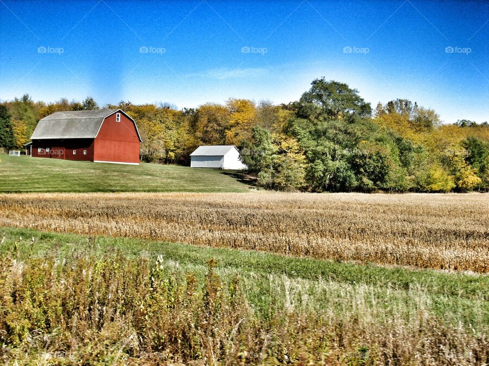 Red barn . Midwest field and barn 
