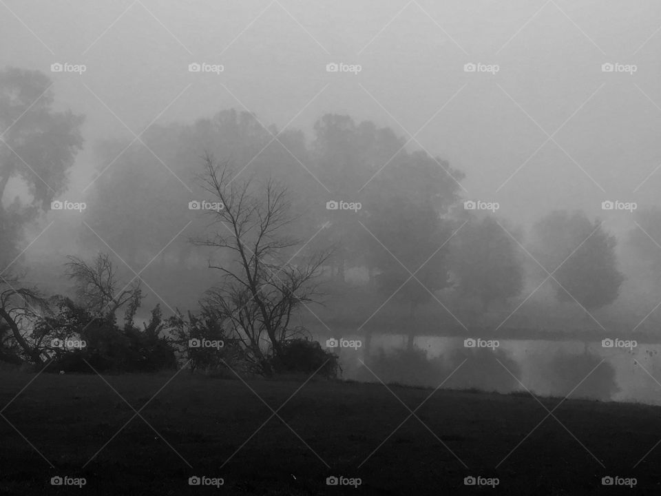 Foggy morning at East Lake 5