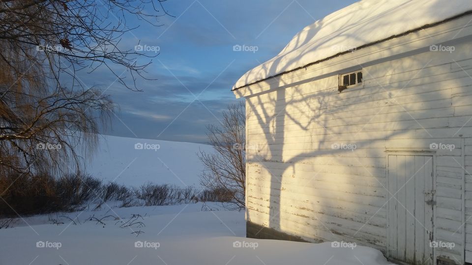 the low winter sun. in the winter's golden hour  the shadows stretch to the ends of the earth