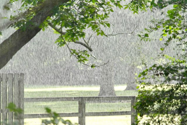 Raining and sunshiny 
