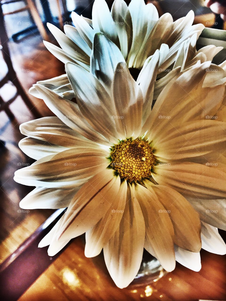 Artistic edit of a flower 