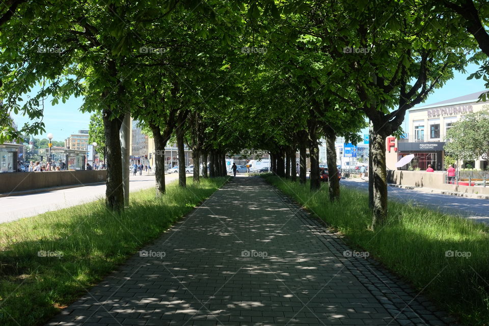 Road, Tree, Guidance, No Person, Pavement