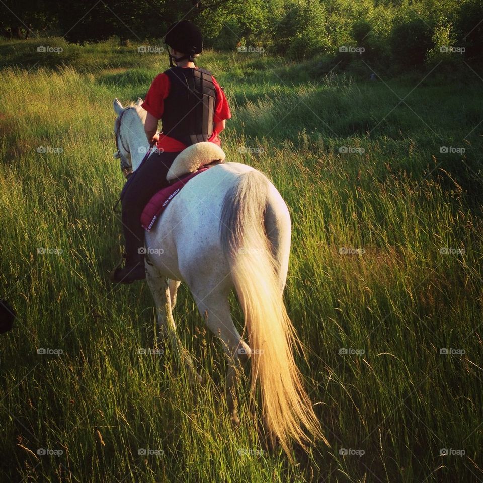 Horseback riding