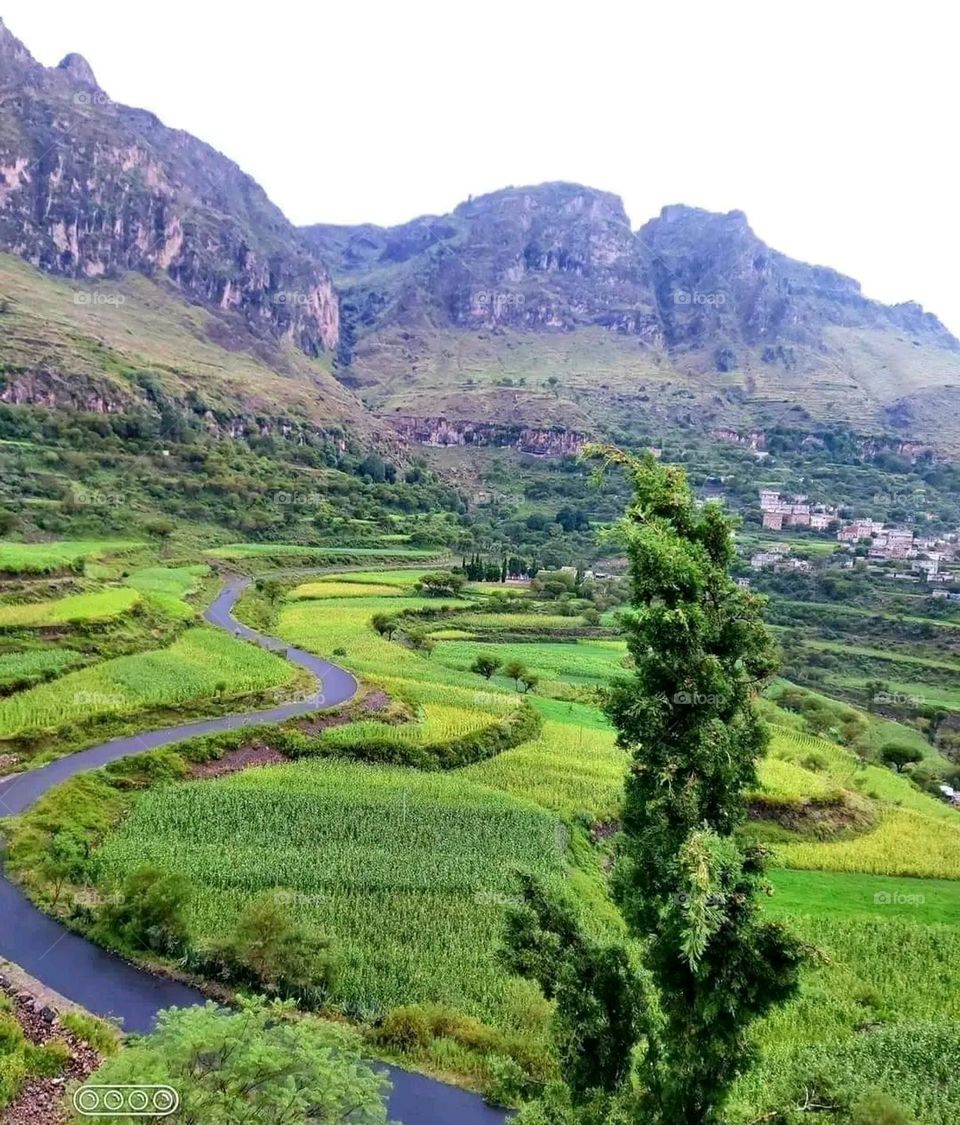 A very beautiful picture, and there is no better picture than it. There is no better picture of green herbs and colorful, red and white roses than it. Glory be to God, the natural and picturesque view, and there is no more